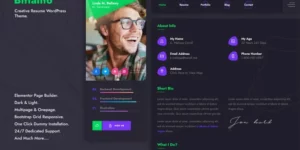 Bittanto Creative Resume WordPress Theme 1.0破解版主题
