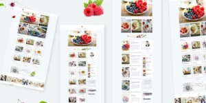 Bizi A WordPress Theme for Food Bloggers 2.0.1破解版主题