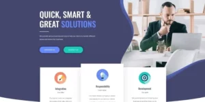 Biznory Business WordPress Elementor Theme WordPress Theme 1.0.0破解版主题