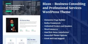 Bizzu Business Consulting and Professional Services WordPress Theme 1.0.5破解版主题