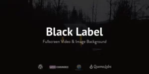 Black Label Fullscreen Video Image Background 4.0.14破解版主题