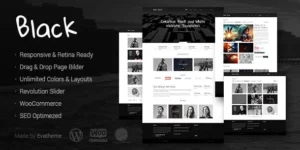 Black Premium Multi-Purpose WordPress Theme 1.5破解版主题