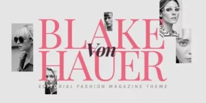 Blake von Hauer 6.0.4破解版主题
