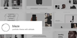 Blaze Portfolio Theme 1.6破解版主题