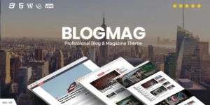 BlogMag Responsive Blog and Magazine WordPress Theme 1.0.0破解版主题