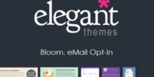 Bloom – Elegant Themes 1.3.12破解版插件