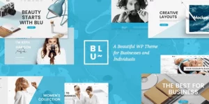 Blu A Beautiful Theme for Businesses and Individuals 1.4破解版主题