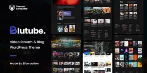 Blutube | Video Stream Blog WordPress Theme 1.1破解版主题