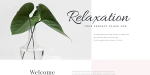 Bonnez Massage Salon Ready-to-Use Minimal WordPress Elementor Theme WordPress Theme 1.0.0破解版主题