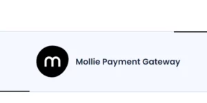 BookingPress Mollie Payment Gateway Addon 1.6破解版插件