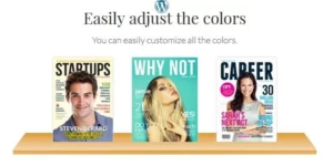 Bookshelf WordPress Plugin 2.1破解版插件