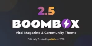 BoomBox 2.9.2破解版主题