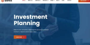 Borex Business And Finance WordPress Theme 1.1.3破解版主题