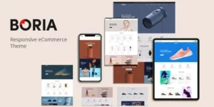 Boria 1.0.4破解版主题