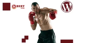 Boxy Boxing And Martial Arts WordPress Theme 1.0.0破解版主题