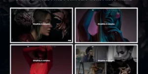 Brandex One Page Portfolio WordPress Theme 1.0破解版主题