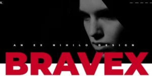 Bravex Creative Portfolio WordPress Theme 1.0破解版主题