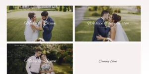 Brian Wedding WordPress Theme 1.0破解版主题