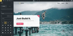 Bricks Theme (with built In Builder) 1.10破解版主题