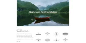 Brocade Minimal Modern WordPress Elementor Theme WordPress Theme 1.0.0破解版主题
