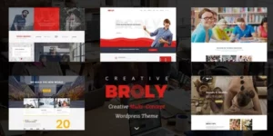 Broly – Creative Multi-Concept WordPress Theme 1.1.3破解版主题
