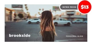 Brookside Personal WordPress Blog Theme 1.3.2破解版主题