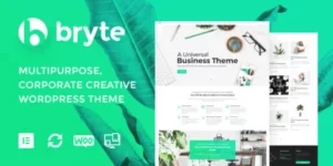 Bryte multipurpose creative business wordpress theme 1.0破解版主题