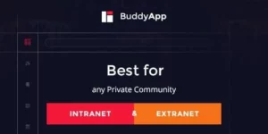 BuddyApp 1.9.2破解版主题