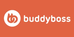 BuddyBoss Child Theme 1.0.1破解版主题
