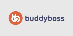 BuddyBoss Theme 2.6.60破解版主题