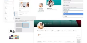 BuddyDev Community Builder Pro Theme 2.1.6破解版主题