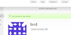 BuddyPress Auto Activate Auto Login 1.5.7 1.5.7破解版插件