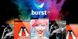 Burst Creative Design Agency 3.5破解版主题