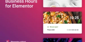 Business hours for Elementor 1.0.7破解版插件