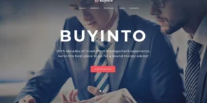 Buyinto Business Investment Management WordPress Theme 1.0.0破解版主题