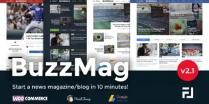 BuzzMag Viral News WordPress Magazine/Blog Theme 2.1破解版主题