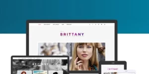 CSSIgniter Brittany WordPress theme 2.2.4破解版主题