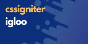 CSSIgniter Igloo 1.9.1破解版主题