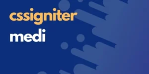 CSSIgniter Medi 1.7.1破解版主题