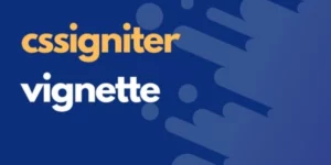 CSSIgniter Vignette WordPress Themes 1.9.3破解版主题