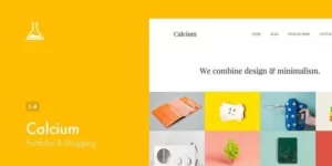 Calcium Minimalist Portfolio Blogging Theme 1.4破解版主题