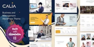 Calia Business and Management WordPress Theme 1.2.19破解版主题
