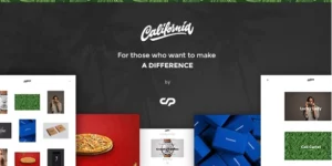 California A theme for Creatives 1.9.5破解版主题
