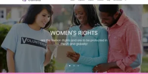 Callista Charity Fundraising WordPress Theme 1.0.0破解版主题