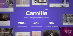 Camille Multi-Concept WordPress Theme 1.2.1破解版主题