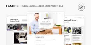 Candor Responsive WordPress Blog Theme 1.1.4破解版主题