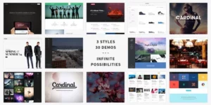 Cardinal WordPress Theme 2.6.33破解版主题