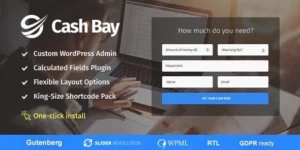 Cash Bay Loan Credit Money WP Theme 1.1.4破解版主题