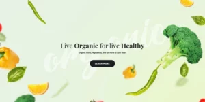 Cauliflower Organic Food Blog WordPress Elementor Theme WordPress Theme 1.0.0破解版主题