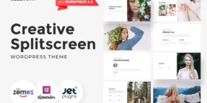 Celerony Creative Splitscreen WordPress Elementor Theme WordPress Theme 1.0.1破解版主题